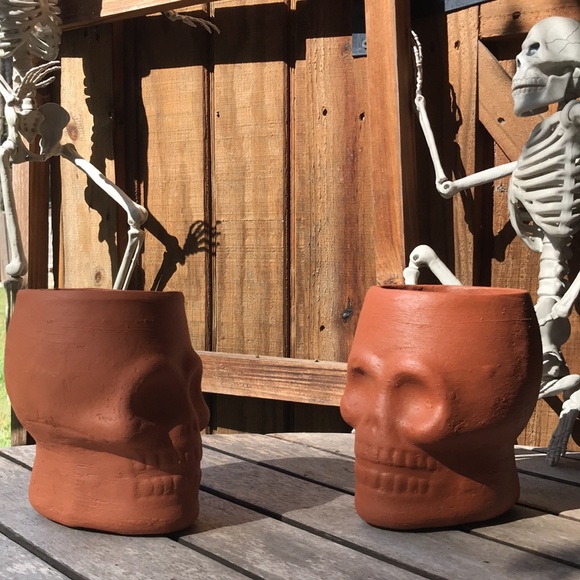 West Elm Spooky and Unique Handcrafted Terracotta Skull Vases - Set of 2 💀 - Picture 8 of 17